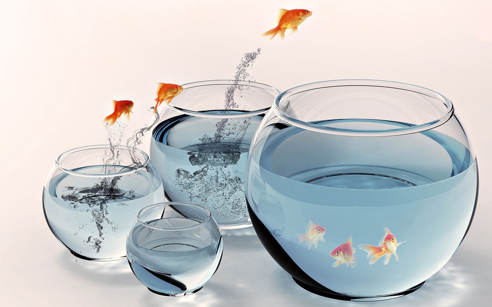 Hd Fish Wallpaper Desktop - HD Wallpaper 