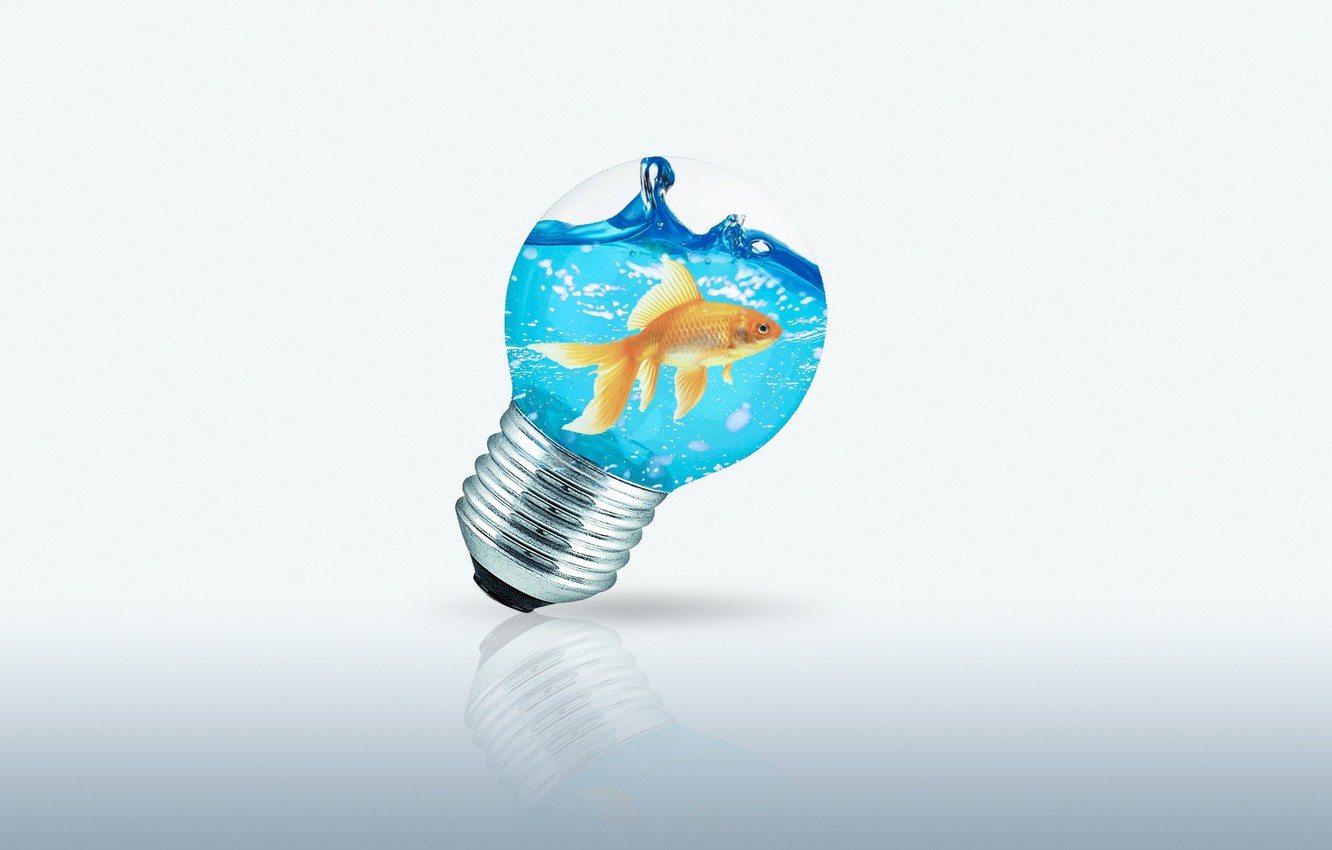 Photo Wallpaper Sea, Water, Photo, Lamp, Fish, Goldfish, - Goldfish - HD Wallpaper 
