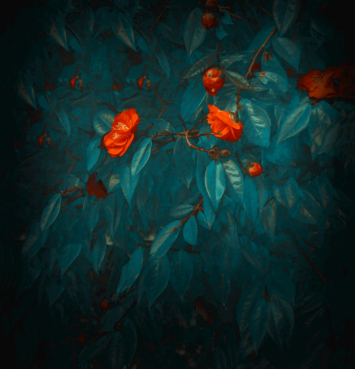 Huawei Mate 20 Wallpaper - HD Wallpaper 