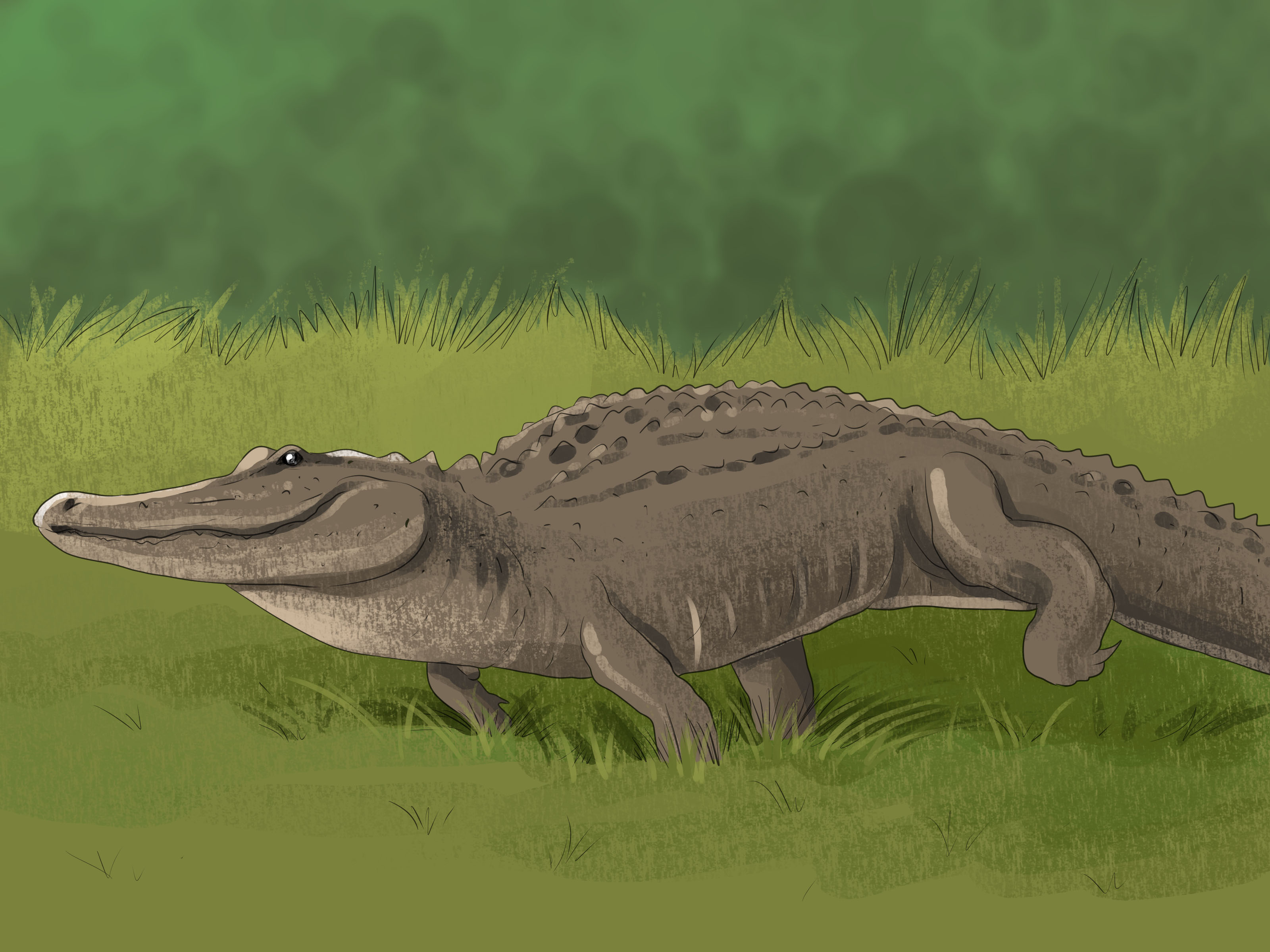 Image Titled Tell The Difference Between A Crocodile - Crocodile Meaning In Tamil - HD Wallpaper 