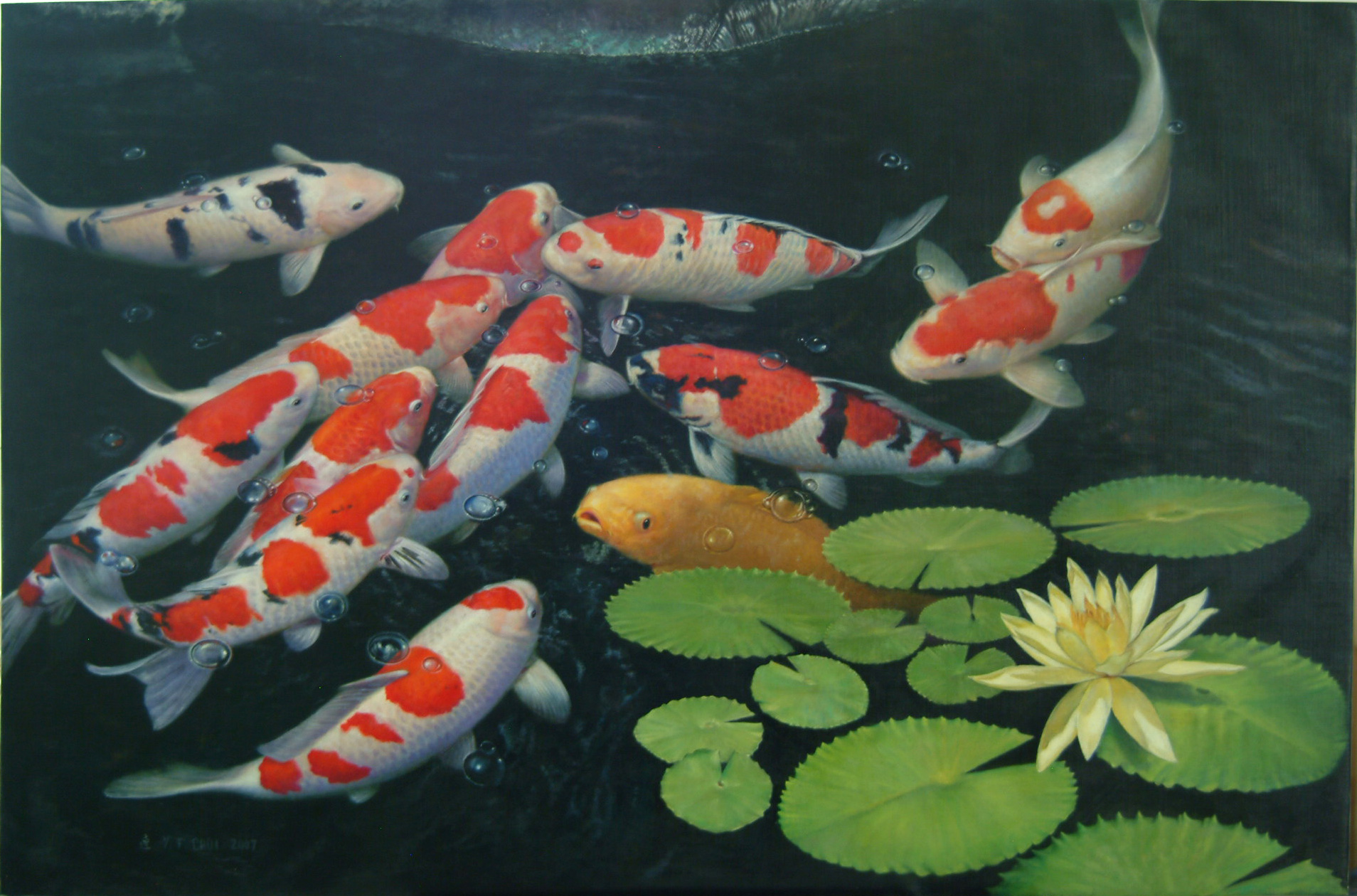 Koi Fish 1908x1260 Wallpaper Teahub Io
