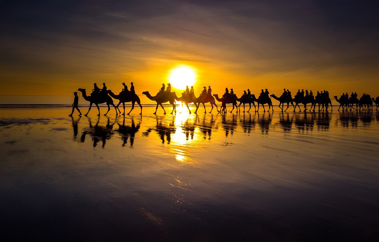 Photo Wallpaper Sea, Sunset, Shore, Caravan - Camellos Puesta De Sol - HD Wallpaper 