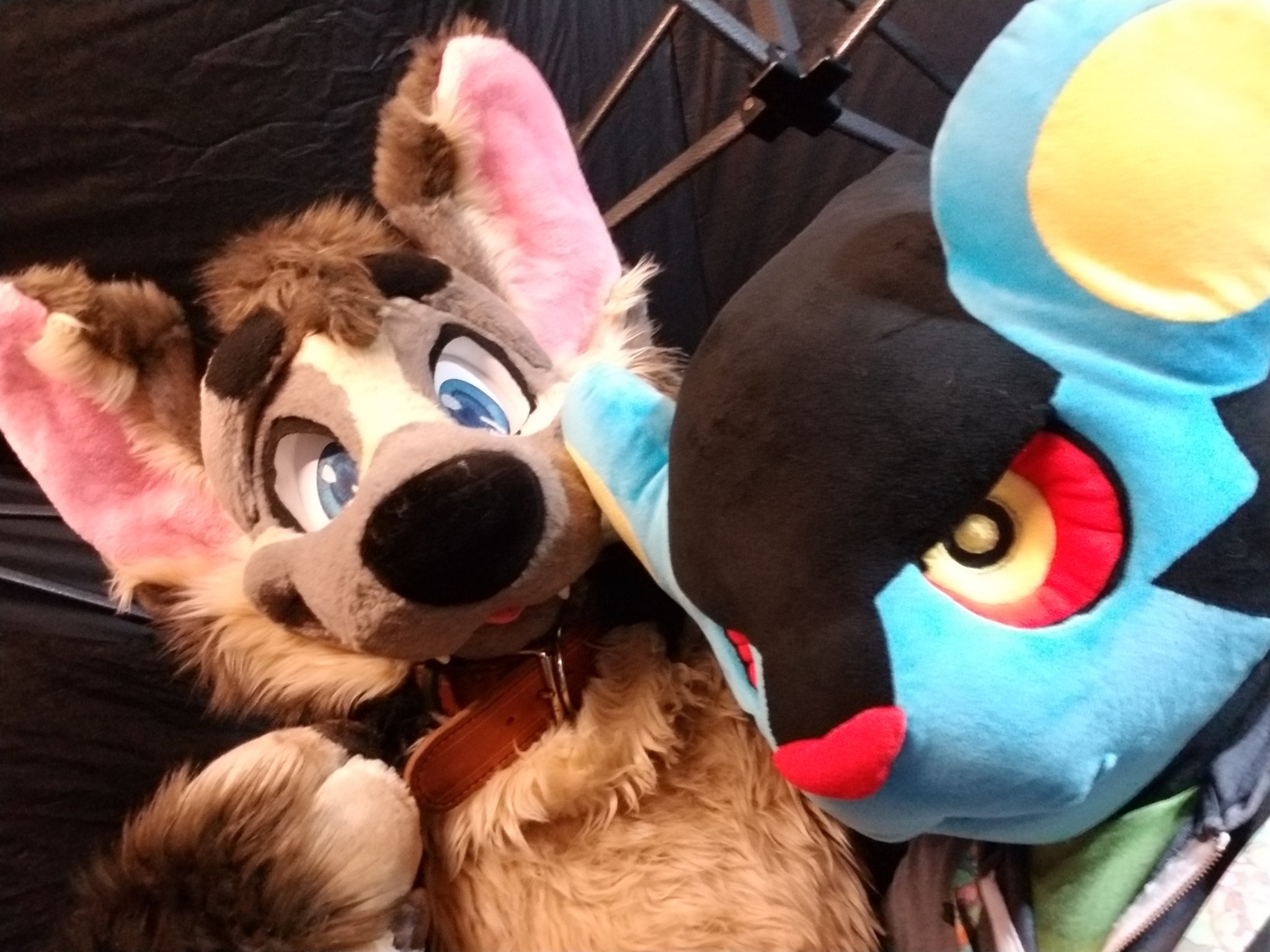 Plush - HD Wallpaper 