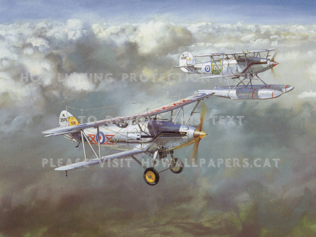 Painting Ao7 Ww1 Seaplane Old Byplanes - Fond D Écran Avion Ancien - HD Wallpaper 