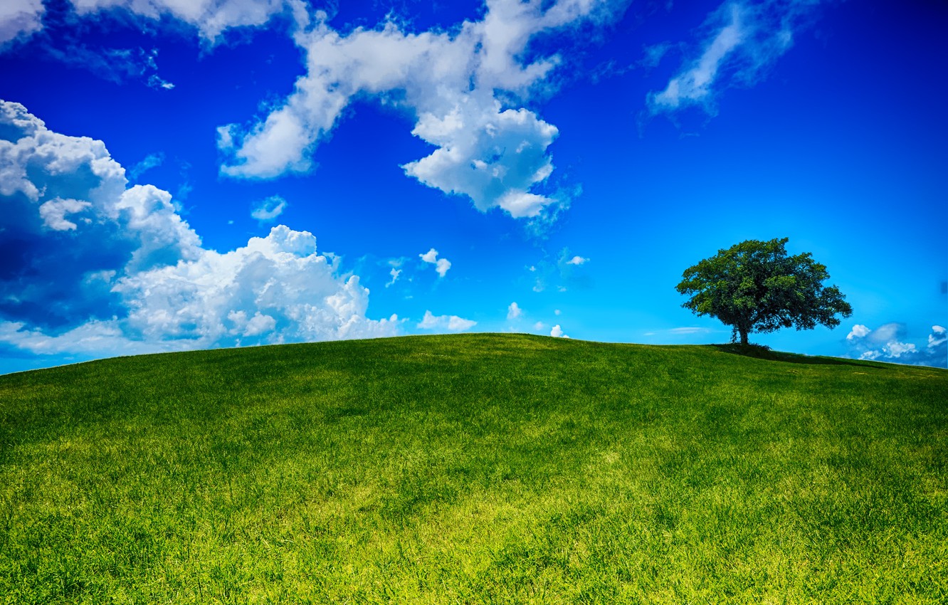 Photo Wallpaper Field, The Sky, Grass, Clouds, Landscape, - Blue Sky And Hill - HD Wallpaper 