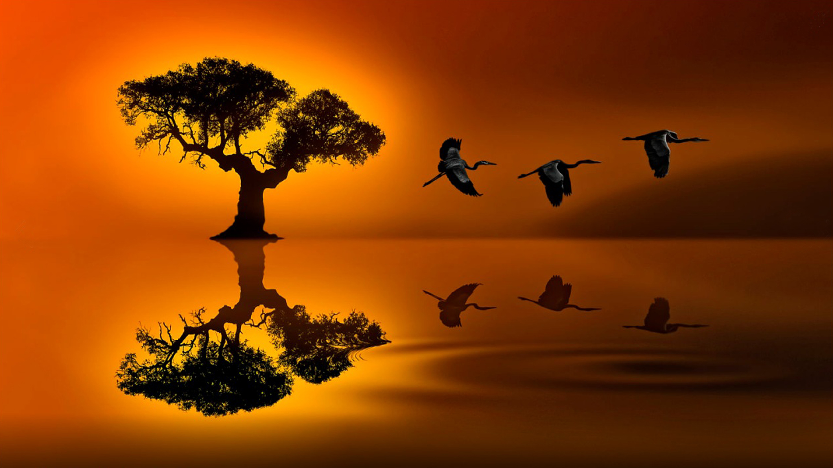 Lonely Tree Wallpaper - 2880x1620 Wallpaper Lonely Tree Wallpaper - 2880x1620 Wallpaper