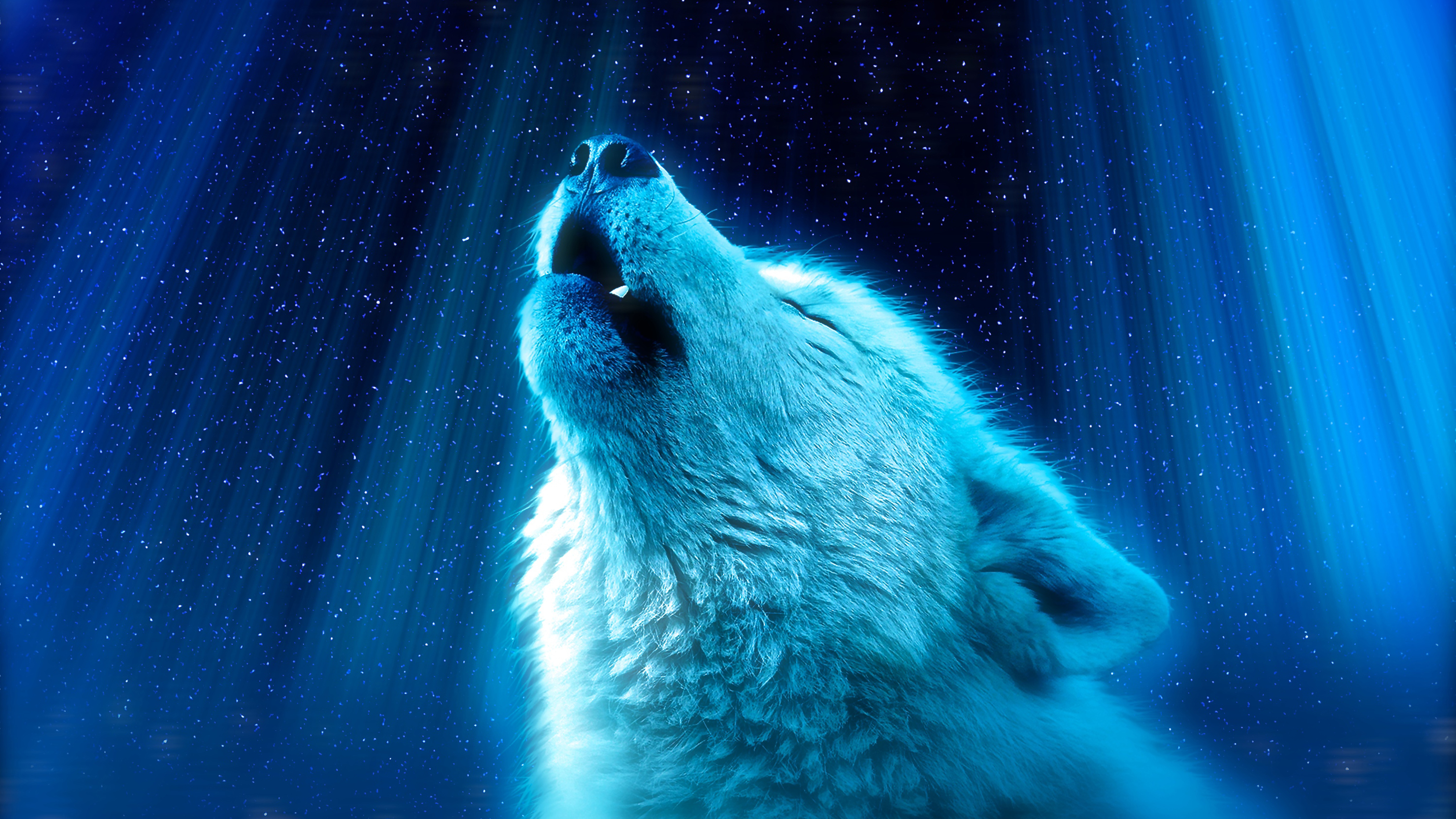 Wolf Heaven 4k Wallpapers - 4k Ultra Hd Animal Wallpaper 4k - HD Wallpaper 