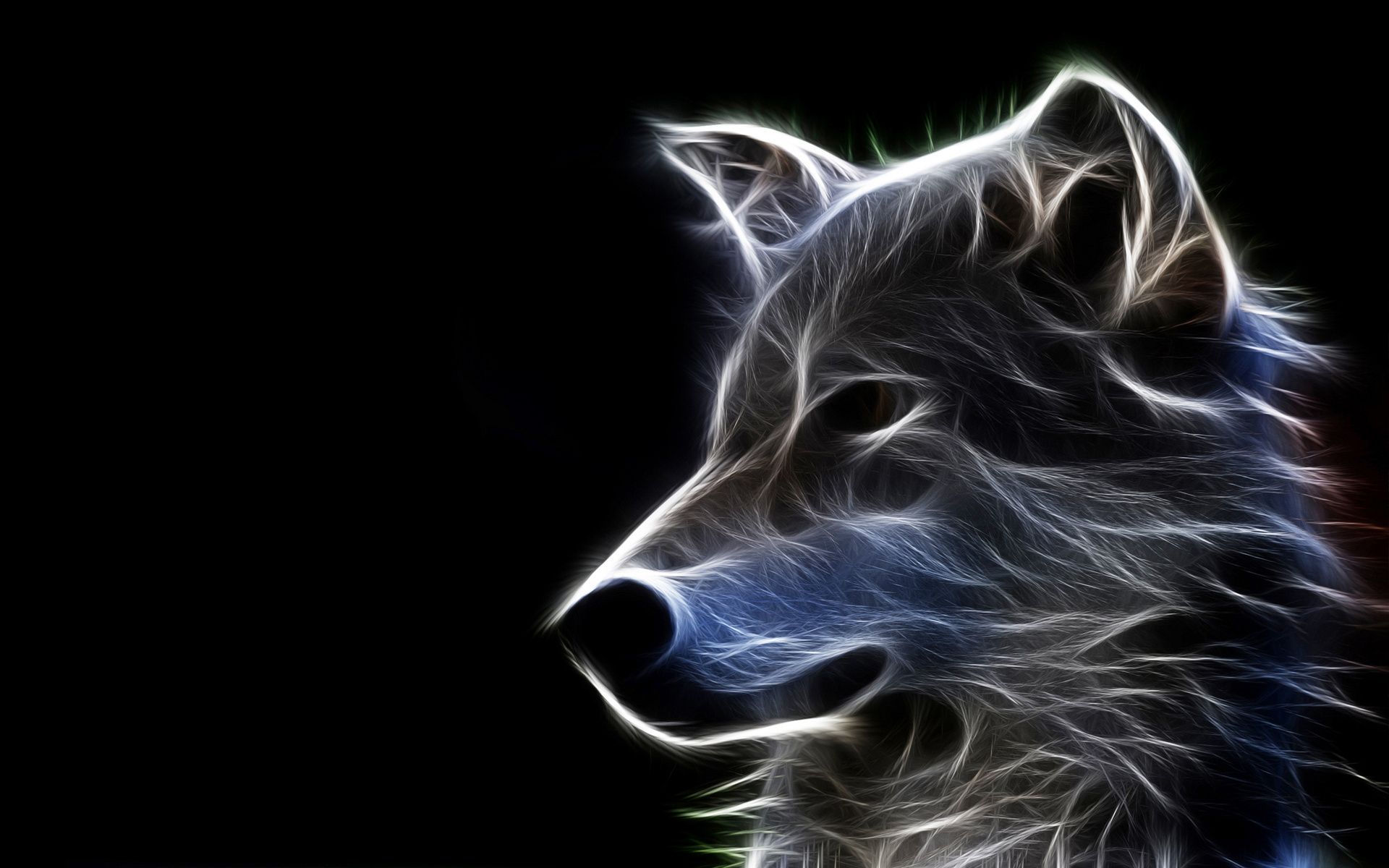 Wolf Hd Wallpaper Iphone - HD Wallpaper 