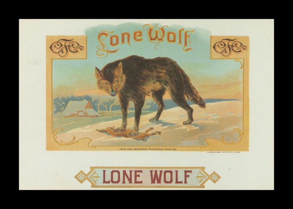 Lone Wolf Photos Wallpaper - Wolf Vintage - HD Wallpaper 