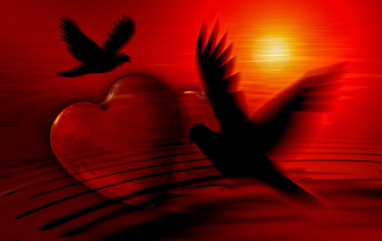 Good Night Image With Love Birds - HD Wallpaper 