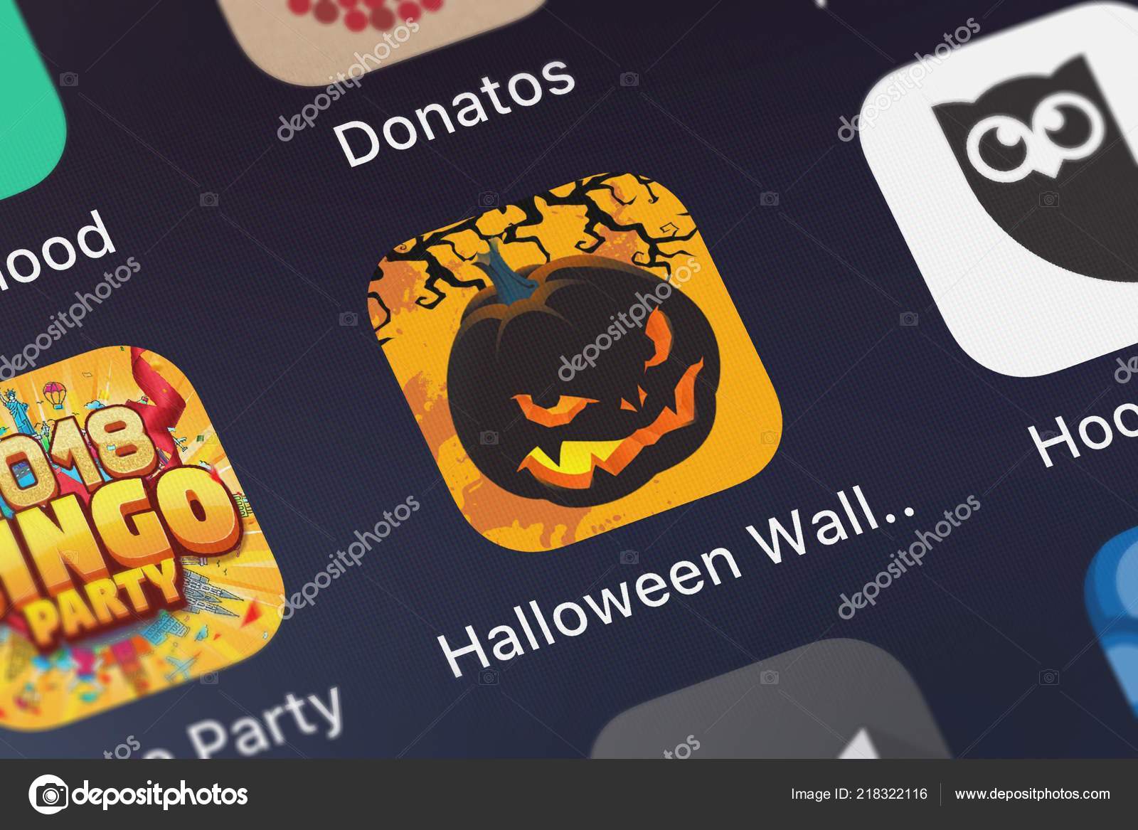 Funny Hamster - HD Wallpaper 