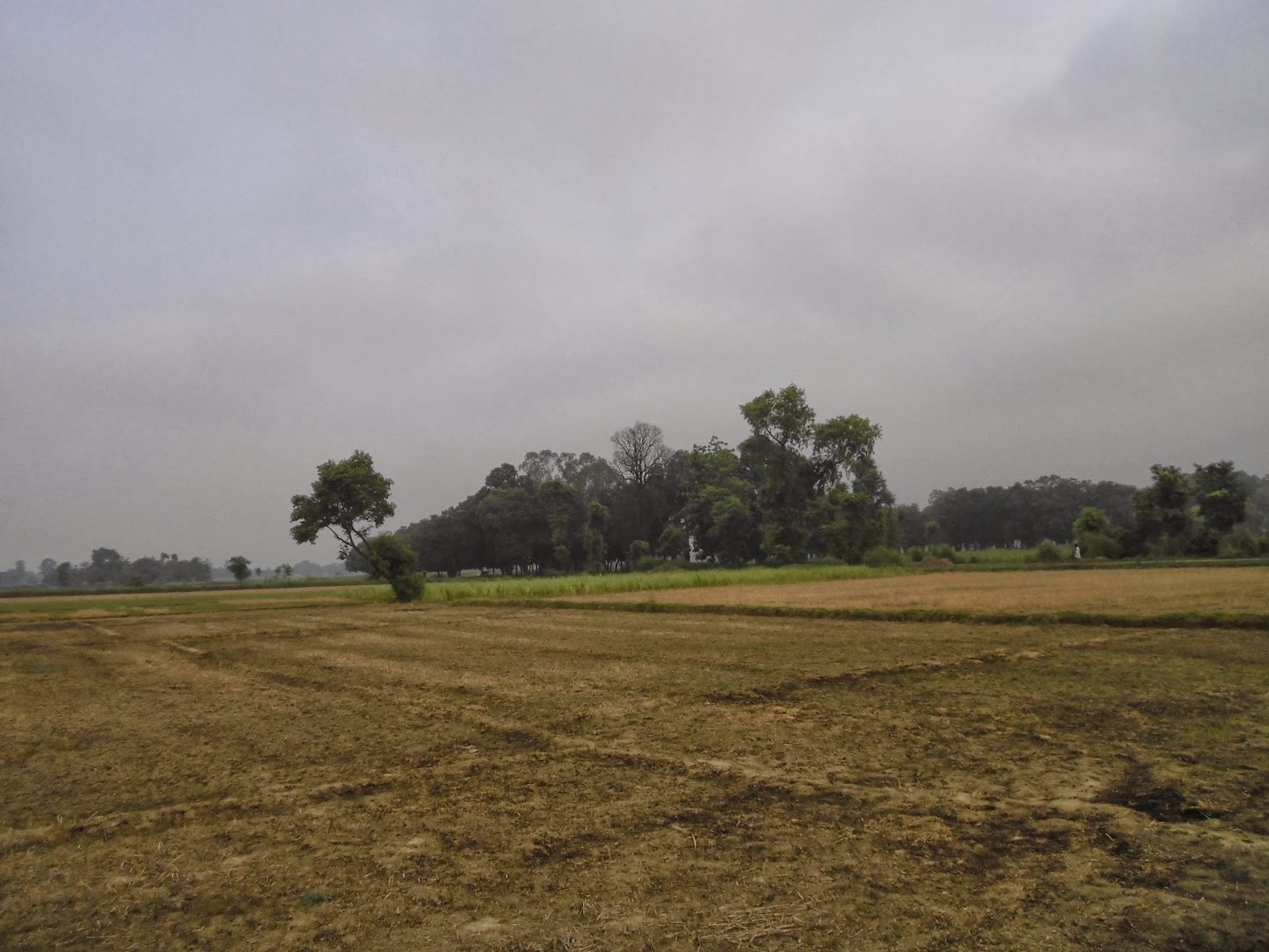 Baag Bagicha Ke Bhoot Kahani - Oak - HD Wallpaper 