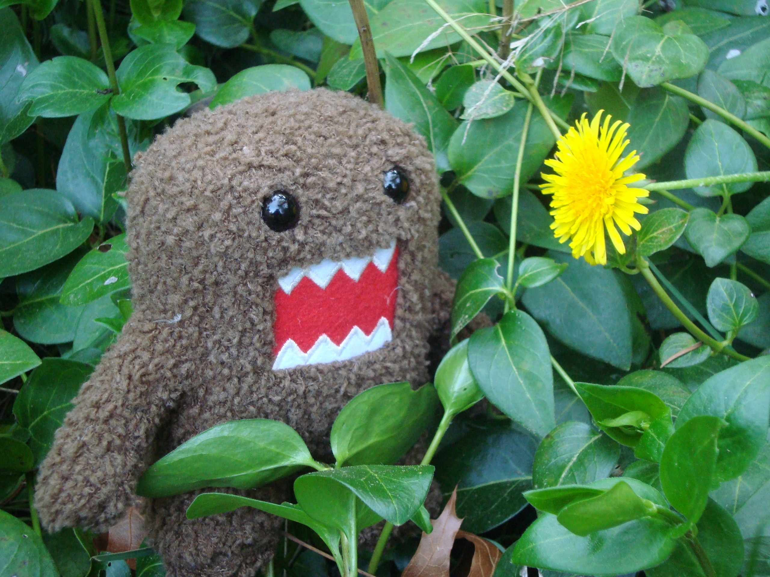 Domo Kun Images Domo - Domo Kun Love - HD Wallpaper 