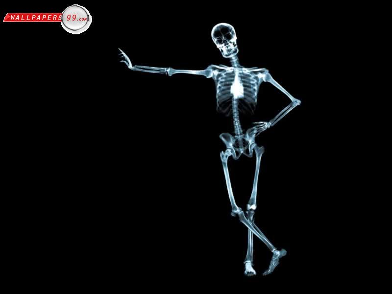 Wallpaper Tengkorak Hidup - Cool X Ray - HD Wallpaper 