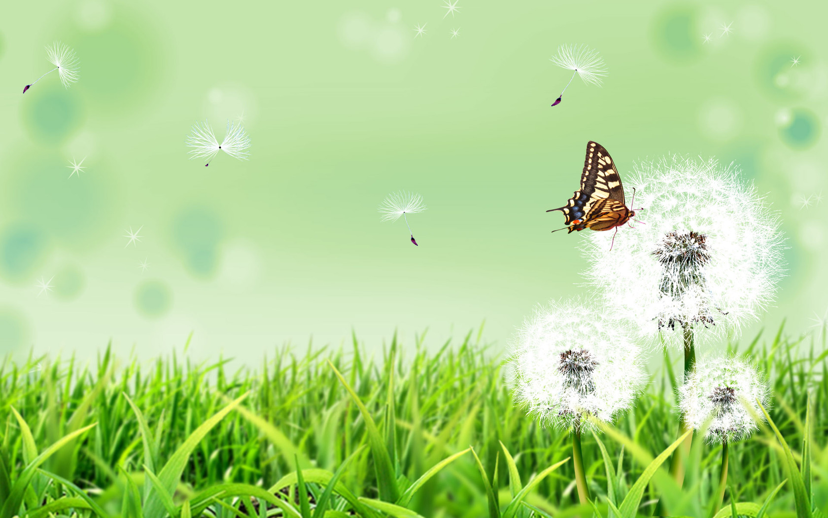 Hd Photoshop Backgrounds Free Download - HD Wallpaper 