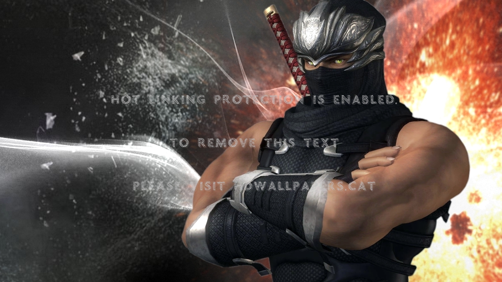 Ryu Hayabusa Ninja Doa Fight Anime Dead Or - Street Fighter Ryu Mod - HD Wallpaper 