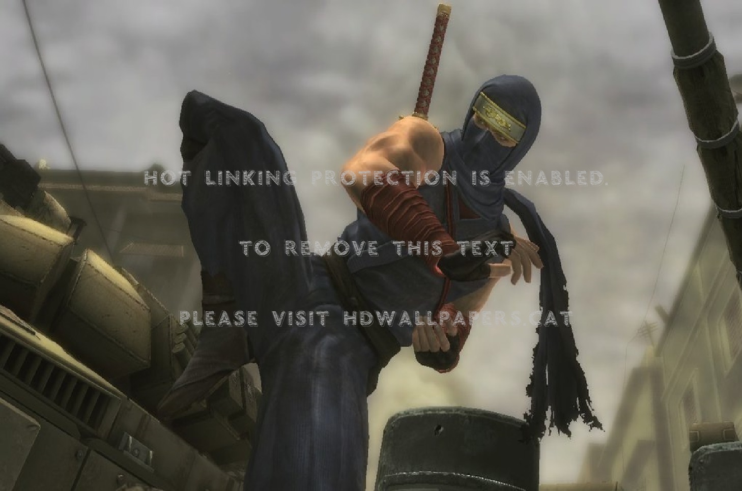 Hayabusa Ninja Gaiden Dead Or Alive Ryu - Pc Game - HD Wallpaper 