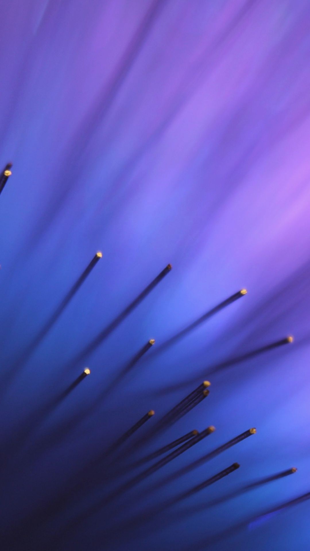 Kitkat Wallpaper - Flower - HD Wallpaper 