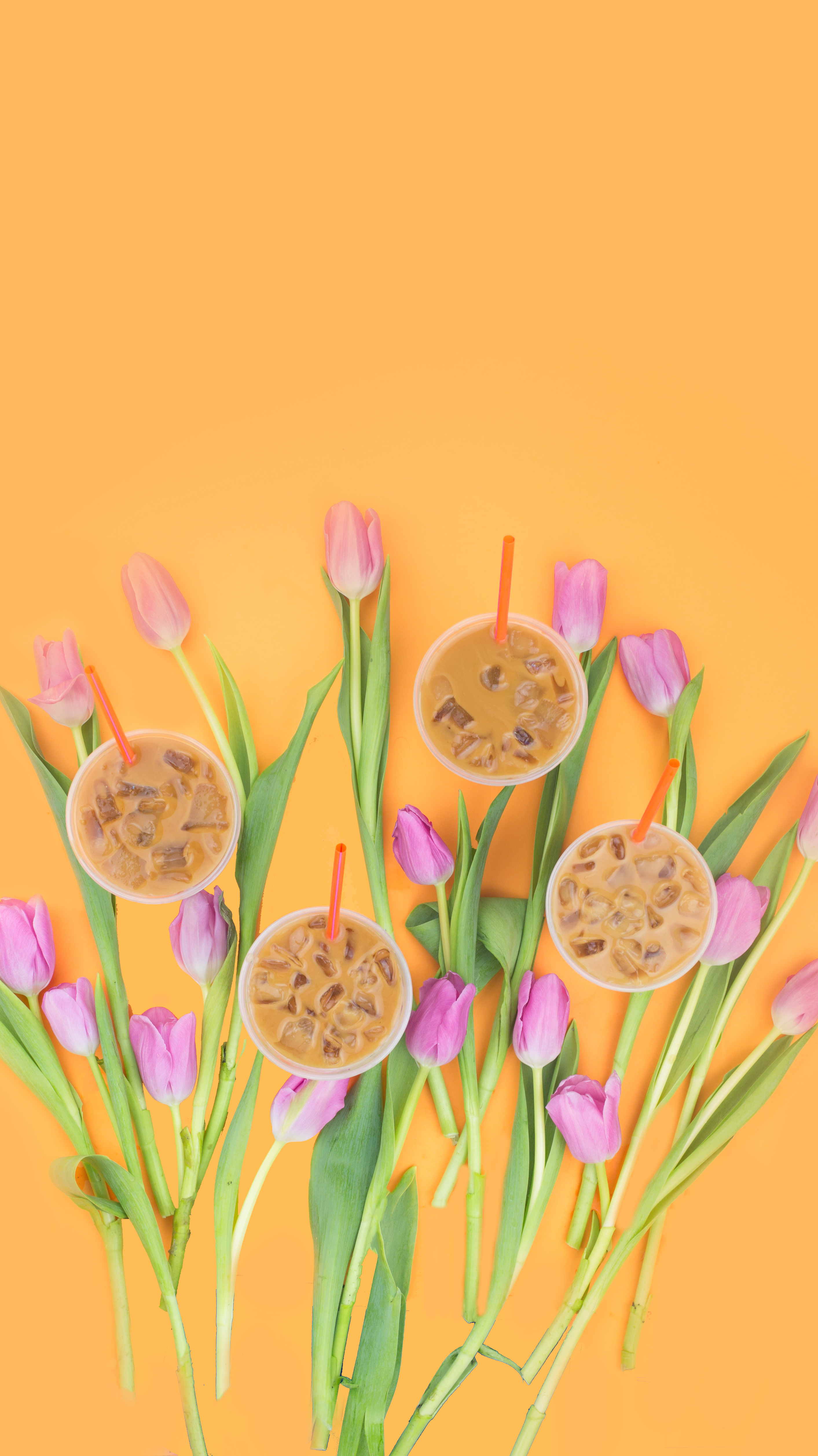 Tulips Flower Hd Wallpaper For Iphone - HD Wallpaper 