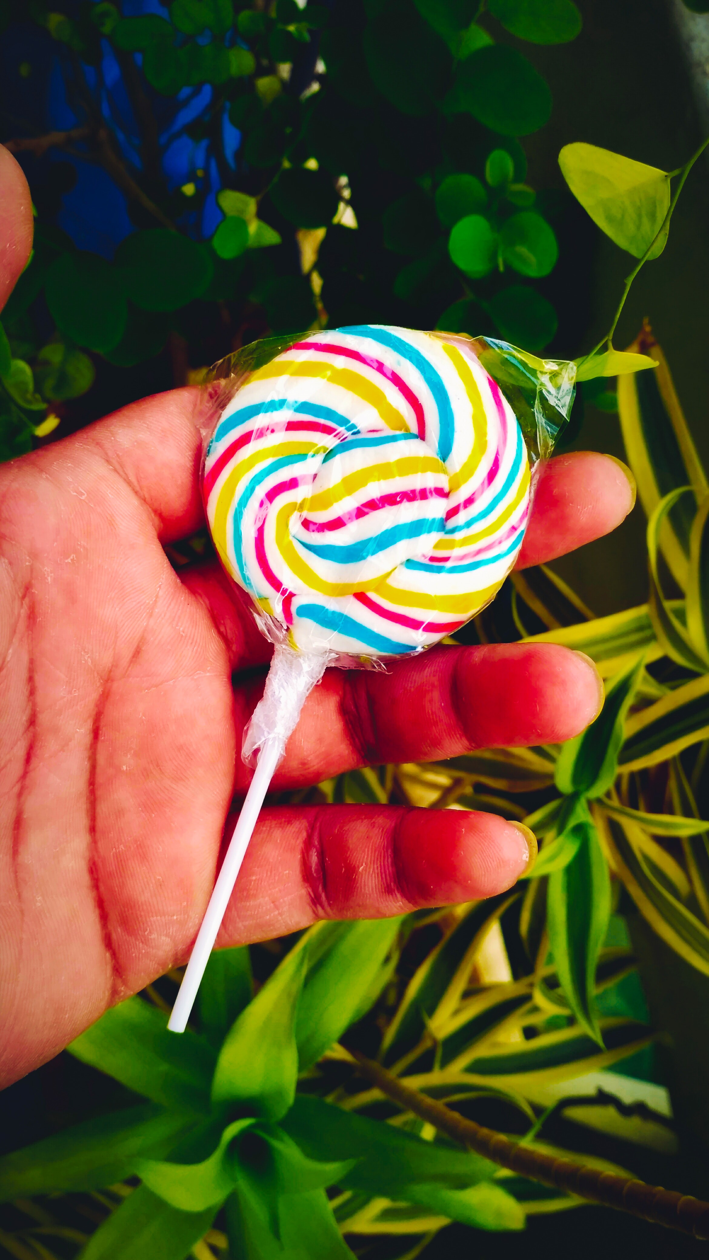 Stick Candy - HD Wallpaper 