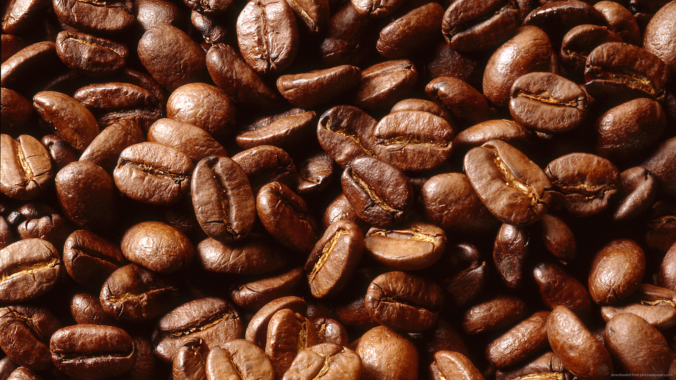 Coffee Beans Wallpaper Hd - HD Wallpaper 