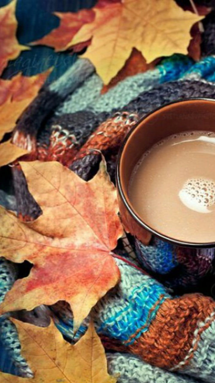 Iphone Late Fall - HD Wallpaper 