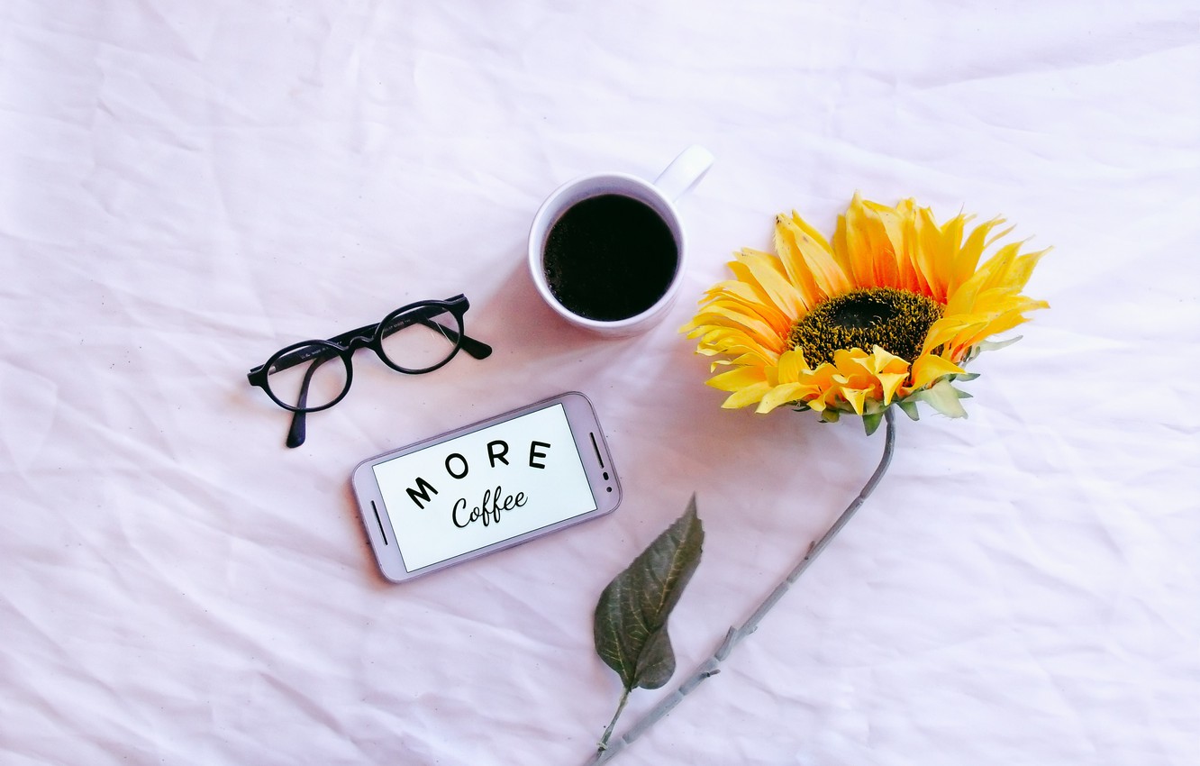 Photo Wallpaper Coffee, Sunflower, Cell Phone - Phone Wallpaper Of Sunflower - HD Wallpaper 