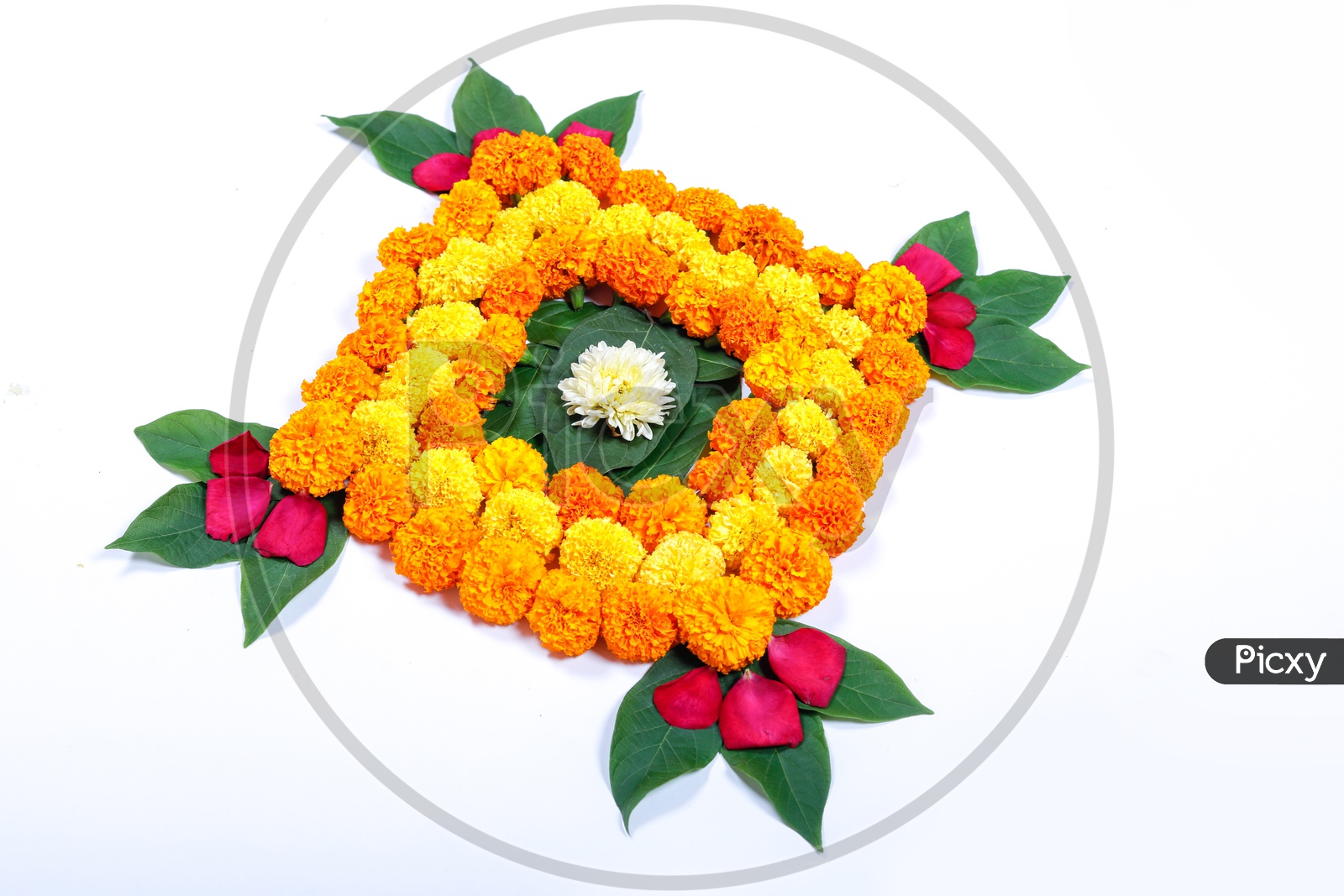 Latest Rangoli Design With Flowers Diwali Wallpapers - 1600x1067 Wallpaper  