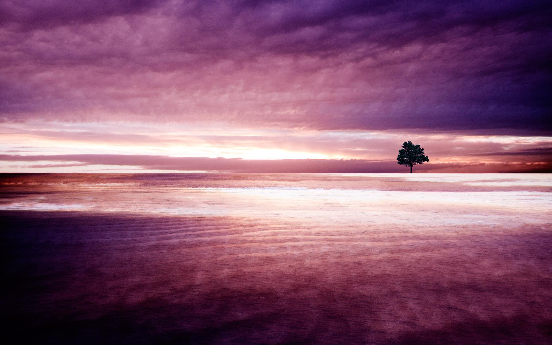 Nature Hd Wallpaper Purple - HD Wallpaper 