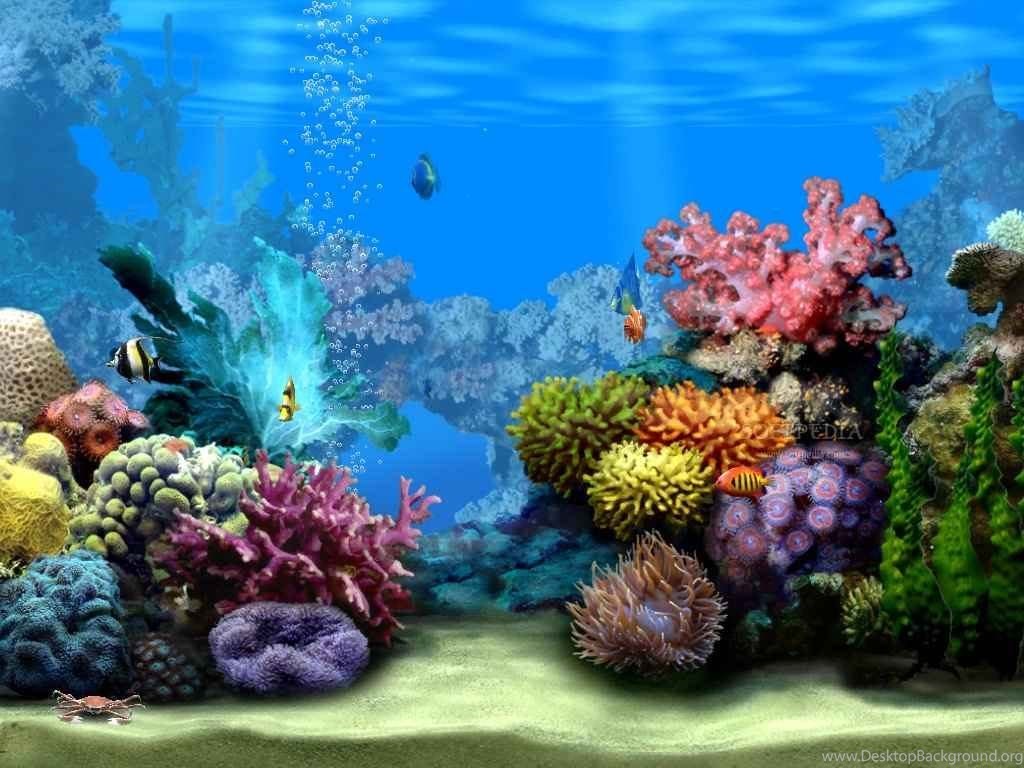 Free Cell Phone Wallpapers And Screensavers - Coral Reef Ocean Floor - HD Wallpaper 