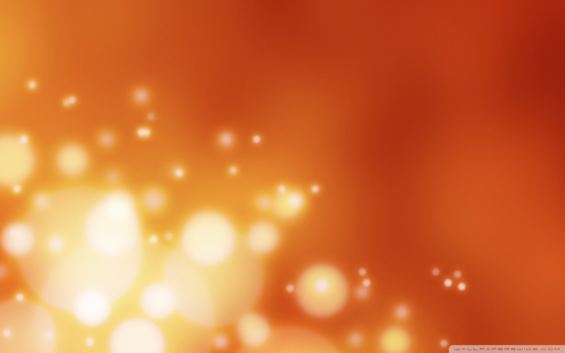 Cute Orange Wallpaper Hd - 1920x1200 Wallpaper Cute Orange Wallpaper Hd - 1920x1200 Wallpaper