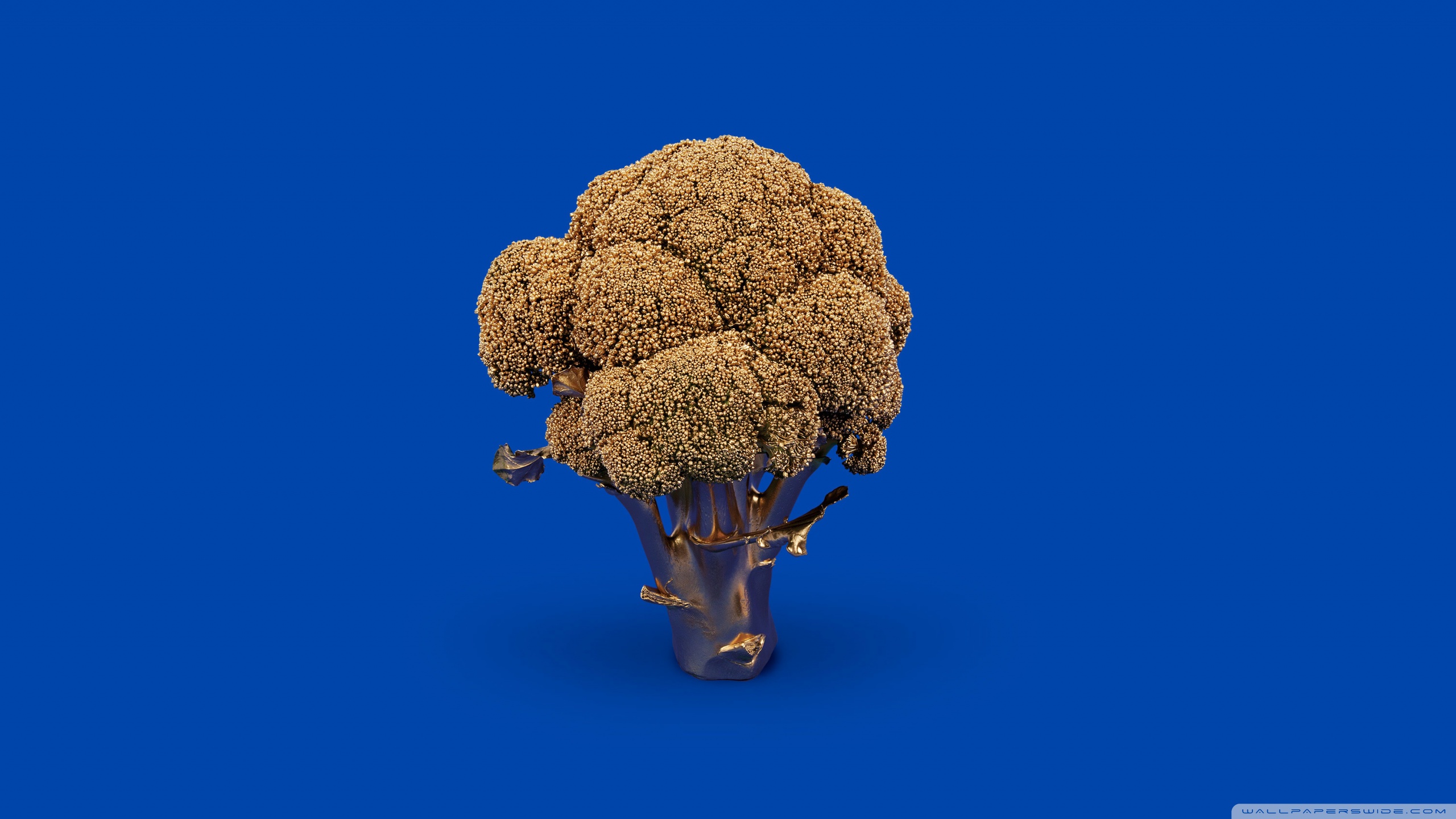 Golden Broccoli - HD Wallpaper 