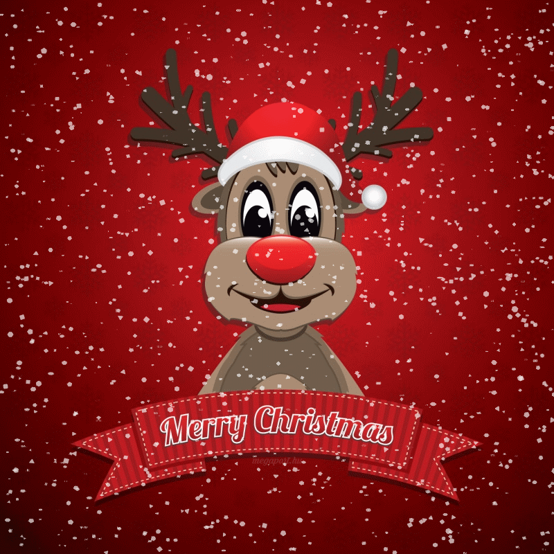 Merry Christmas Gif Animiert 800x800 Wallpaper teahub.io