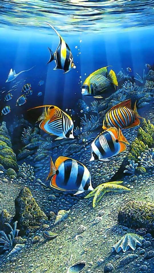 Fish Wallpaper Free Download For Mobile - HD Wallpaper 