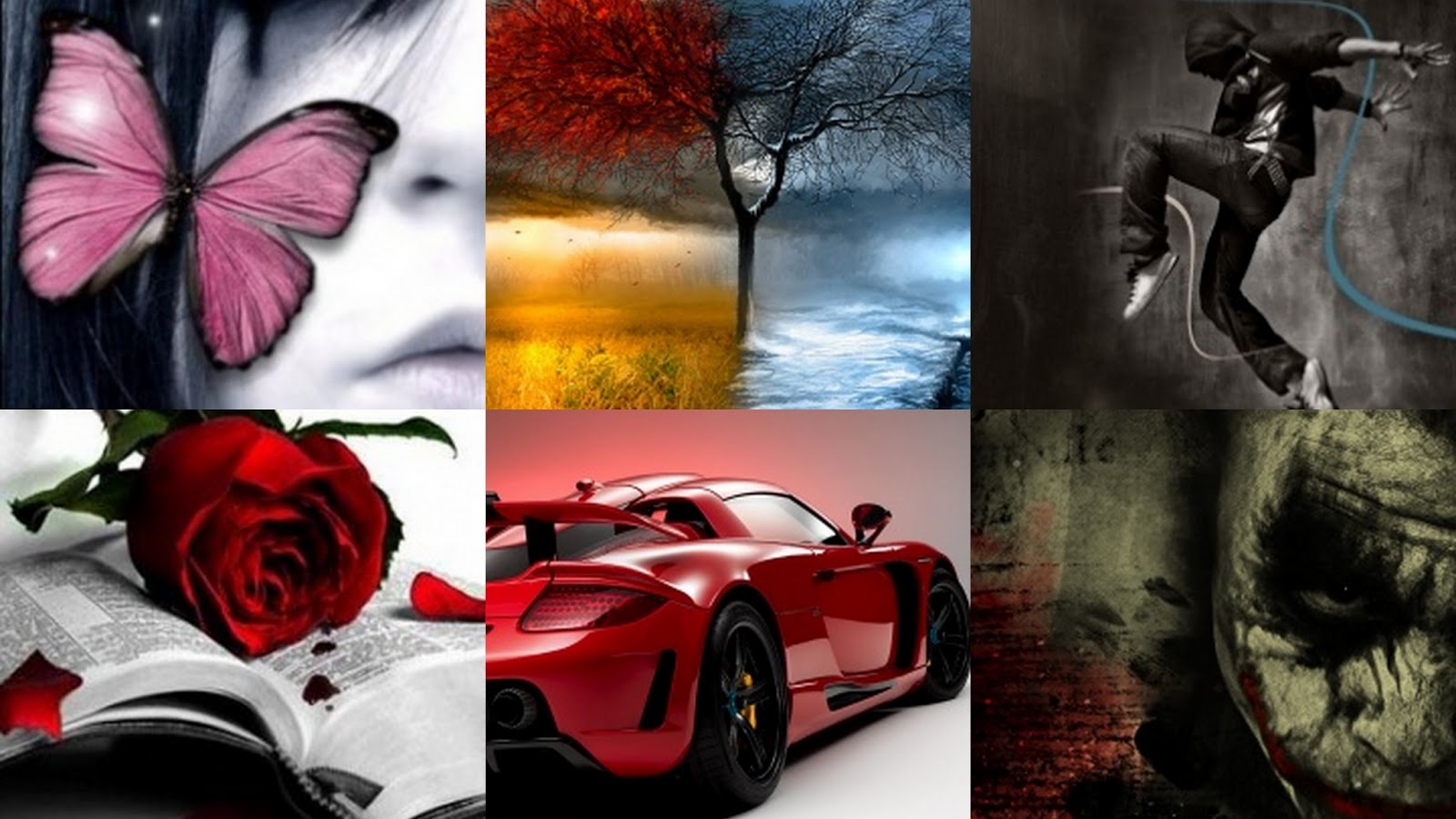 Download Wallpapers Pack 1 Pack Contains 100 Hd Pics - Rose - HD Wallpaper 