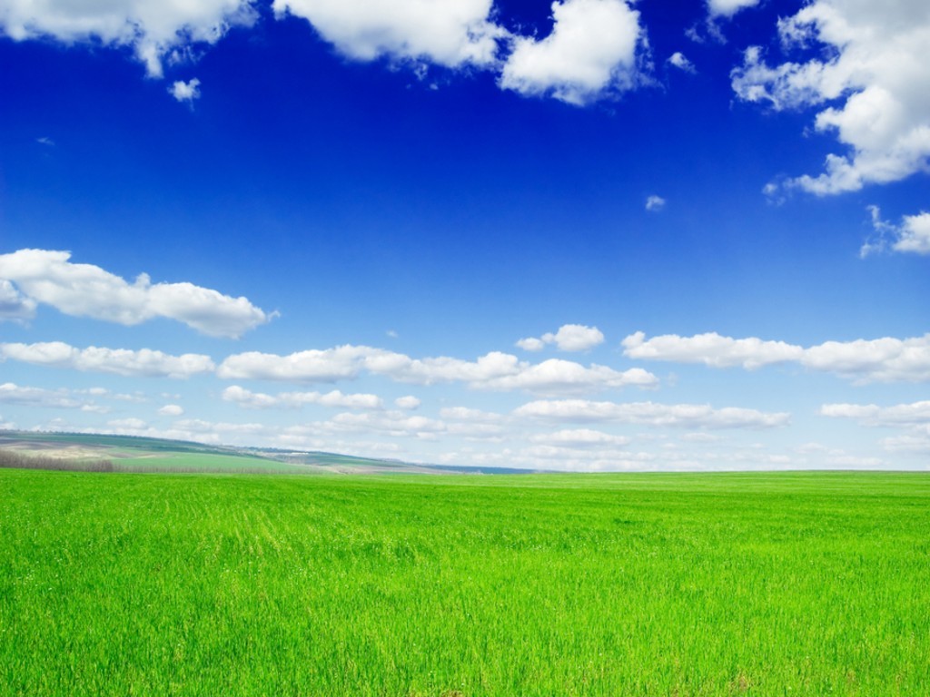 Field With Cloud - HD Wallpaper 