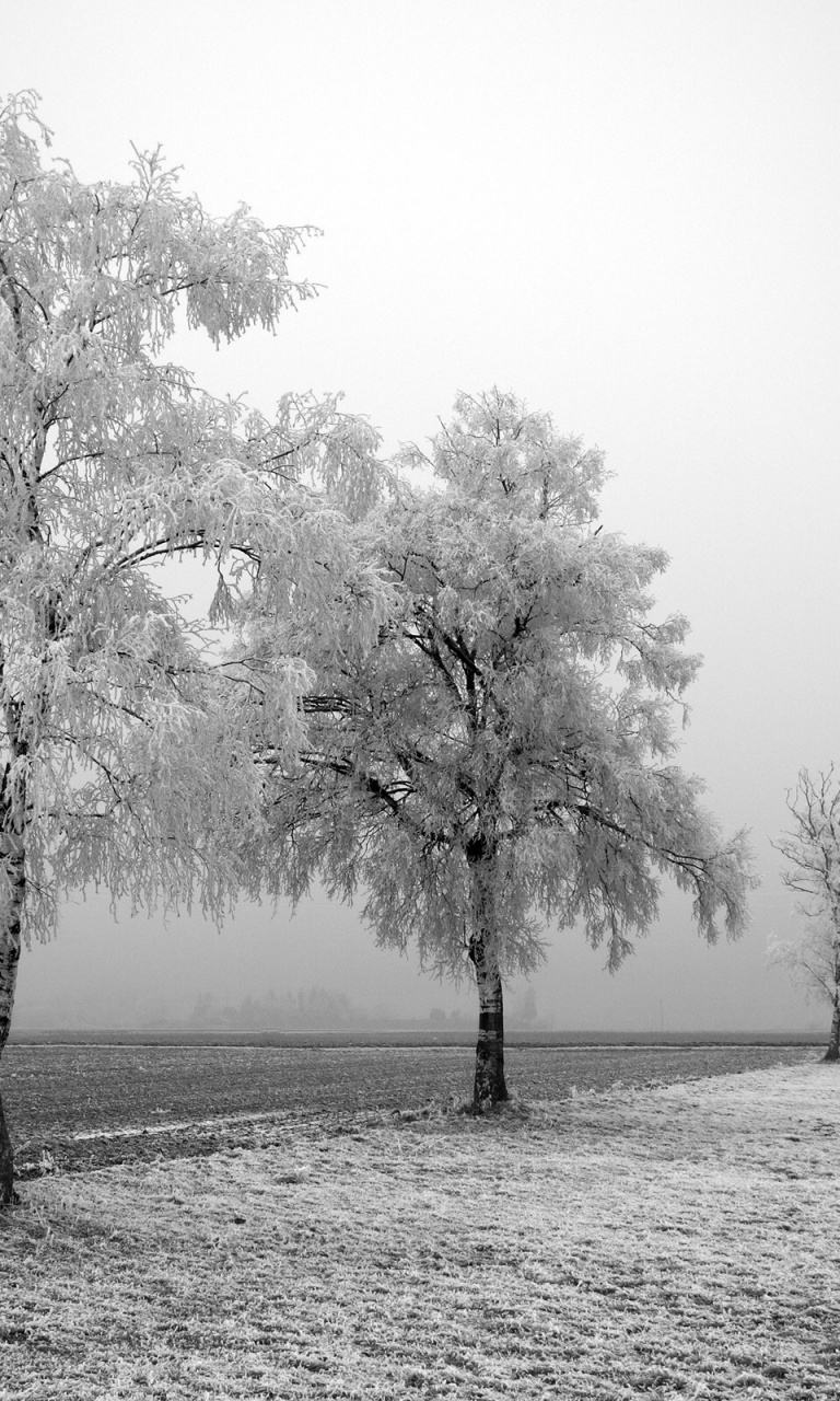 Black And White Romantic Background - HD Wallpaper 