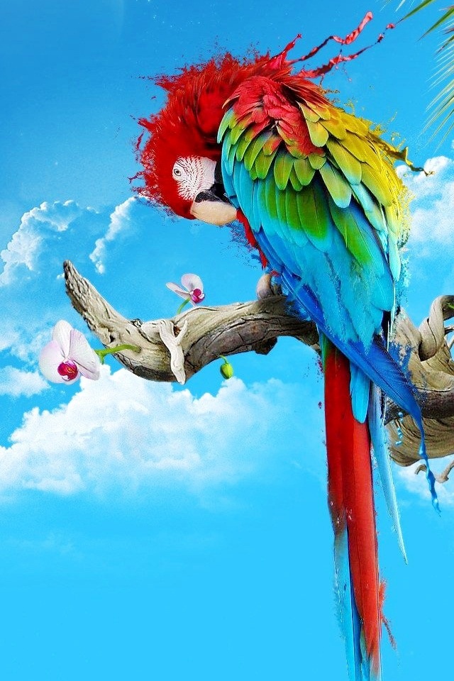 12 - Hd Wallpaper For Mobile Colorful - 640x960 Wallpaper 12 - Hd Wallpaper For Mobile Colorful - 640x960 Wallpaper