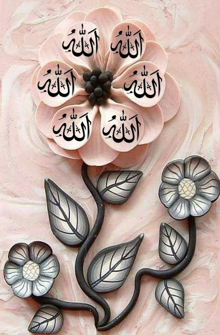 1 Peter 3 Vs 9 Quotes - HD Wallpaper 