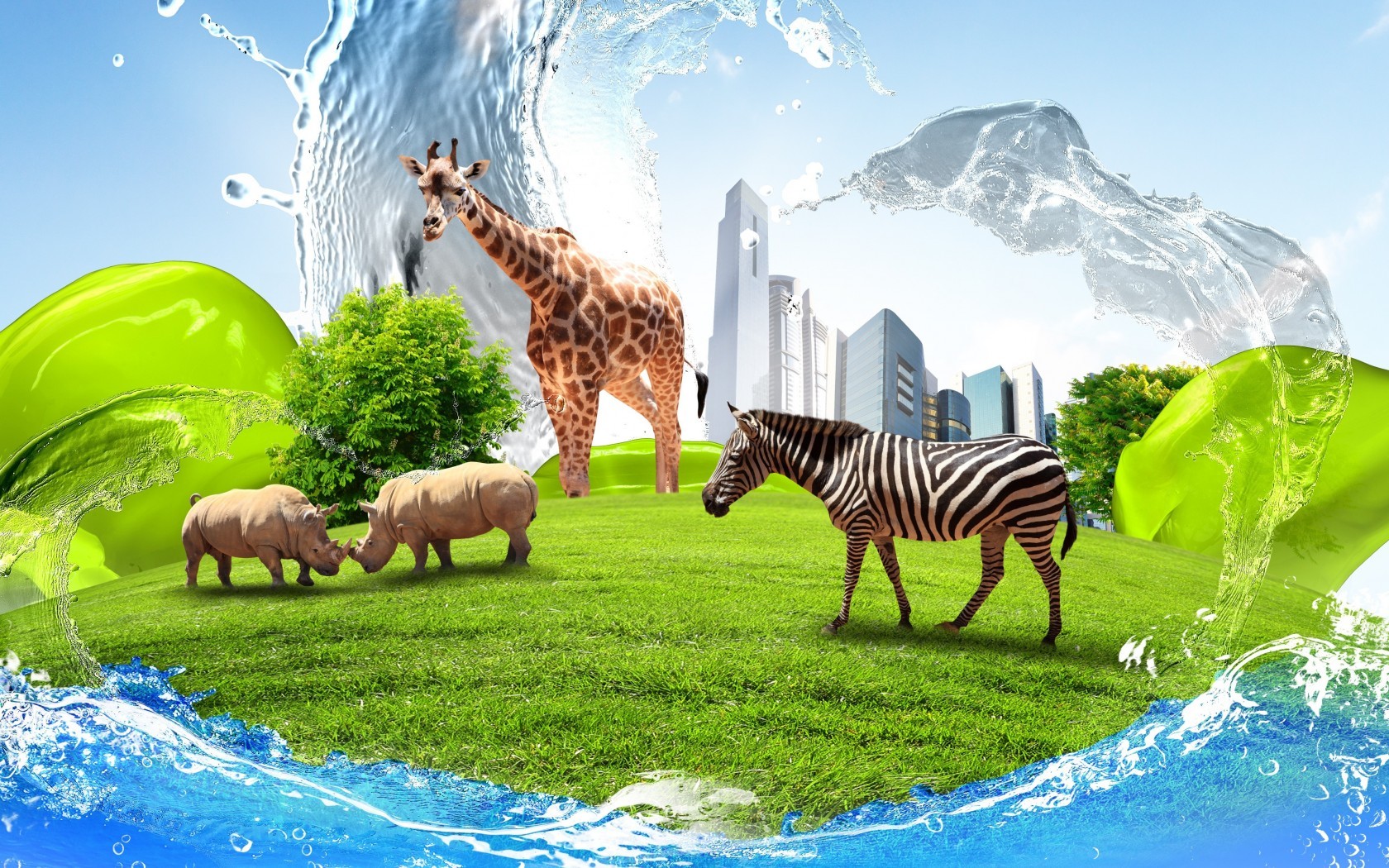 Zebra And Giraffe - HD Wallpaper 