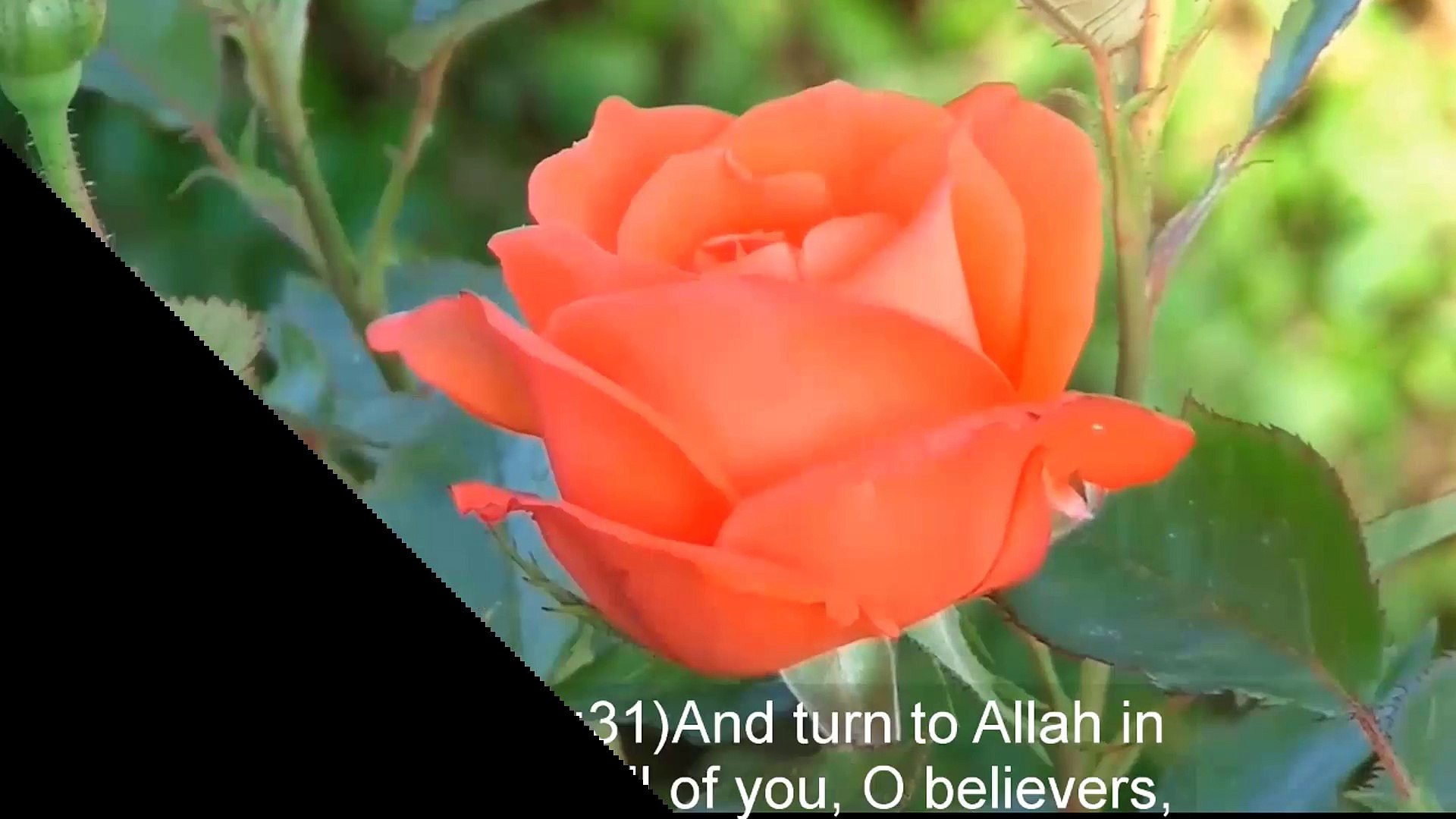 Video Goodmorning Image Gif - HD Wallpaper 