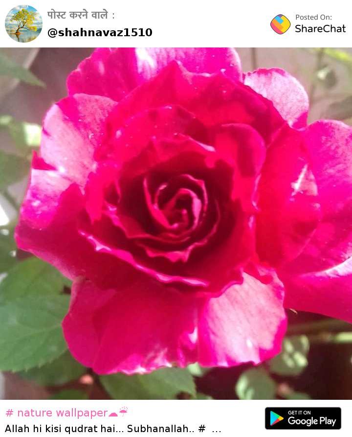 New Style Saraswati Thakur - HD Wallpaper 