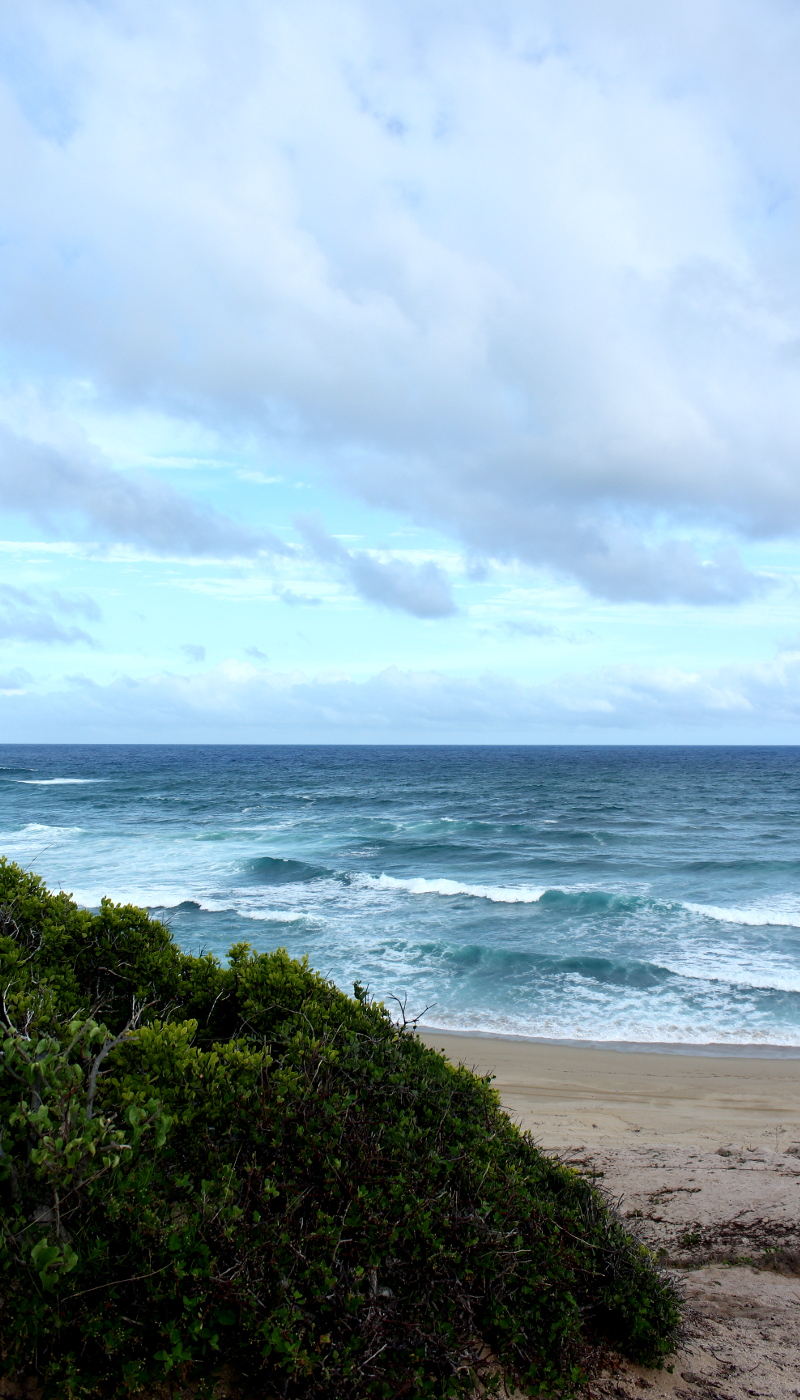 Free Wallpaper Download The Gift Of Knitting - Beach Ridge - HD Wallpaper 