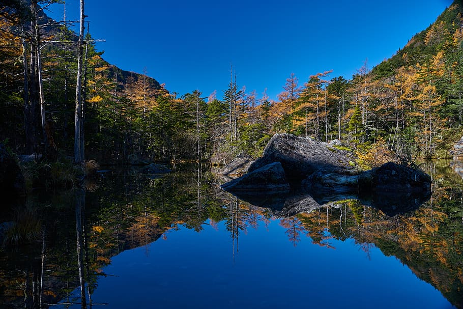 The Market, Kamikochi, Japan, Mother Nature, Natural, - HD Wallpaper 