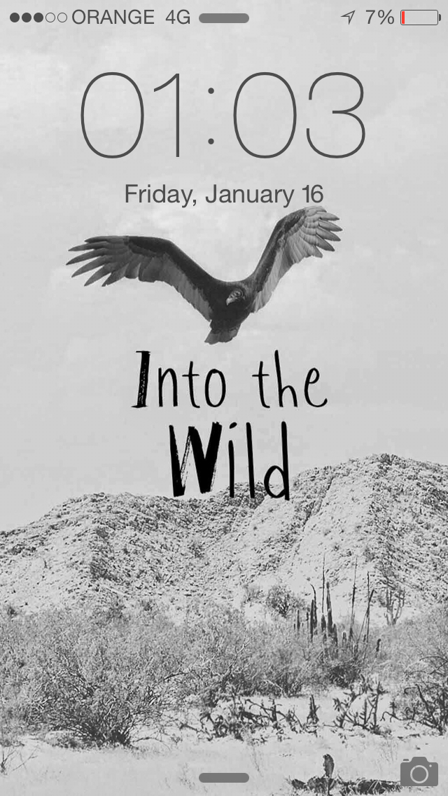 Abstract, Background, Birds - Into The Wild - HD Wallpaper 