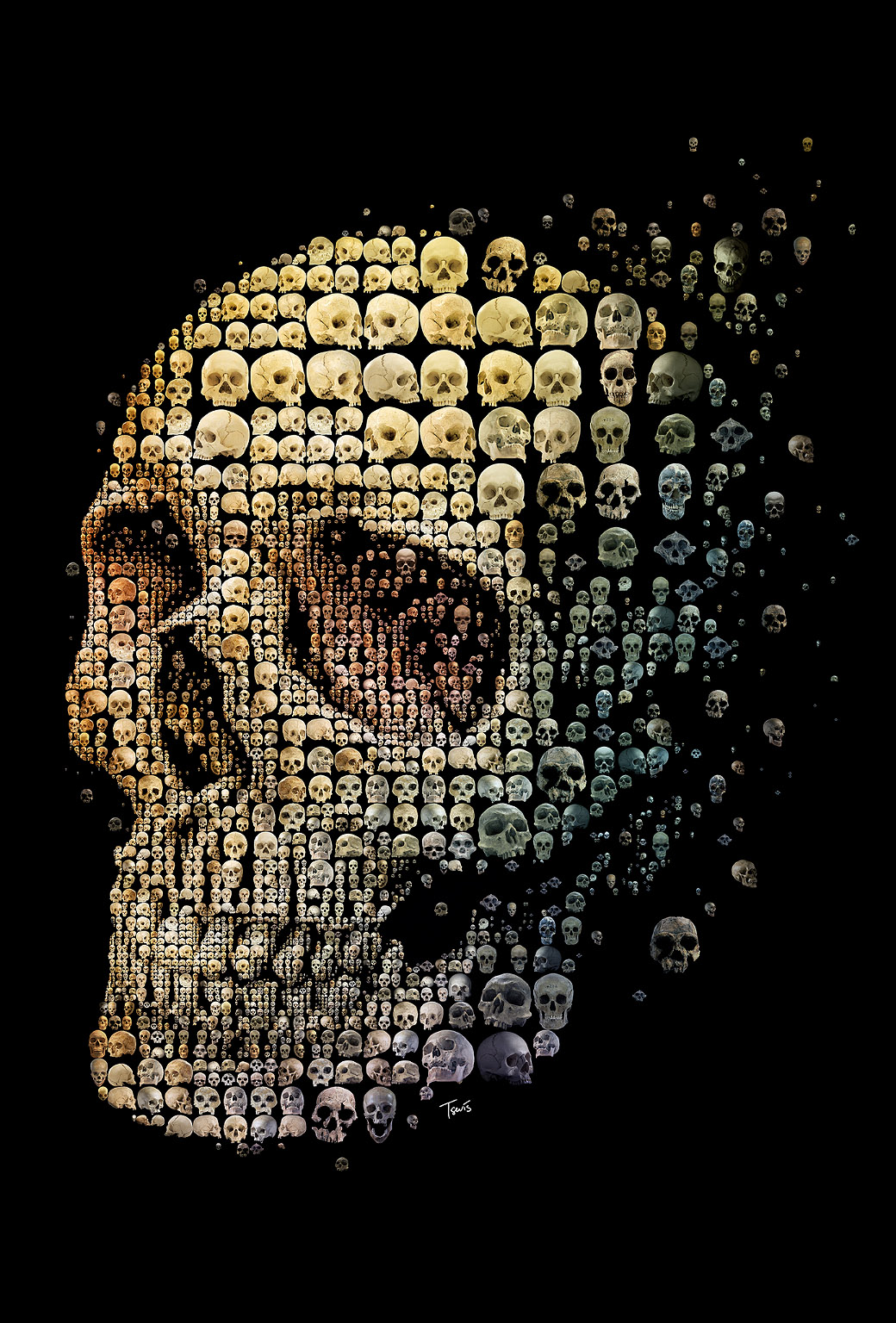 Skull Iphone Wallpaper - Cool Wallpaper For Ipad - HD Wallpaper 
