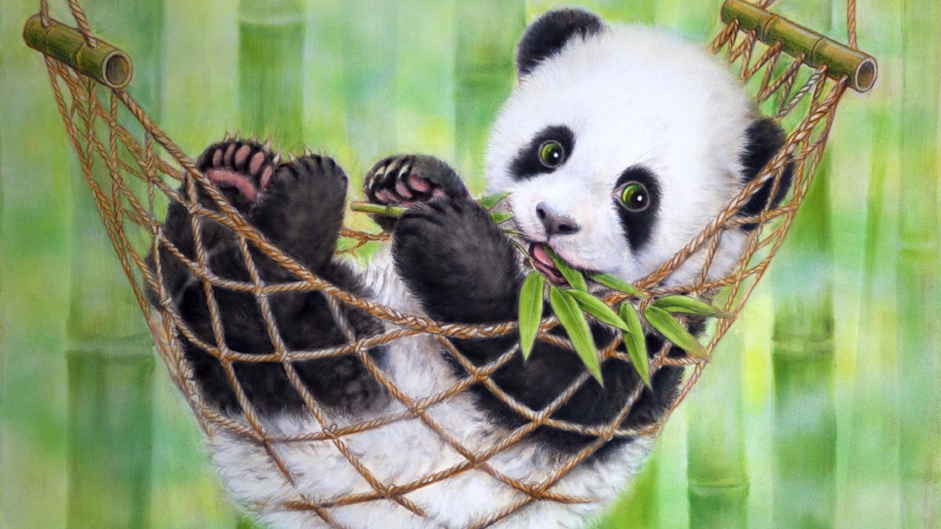 Sugarcane Field - Cute Panda - HD Wallpaper 