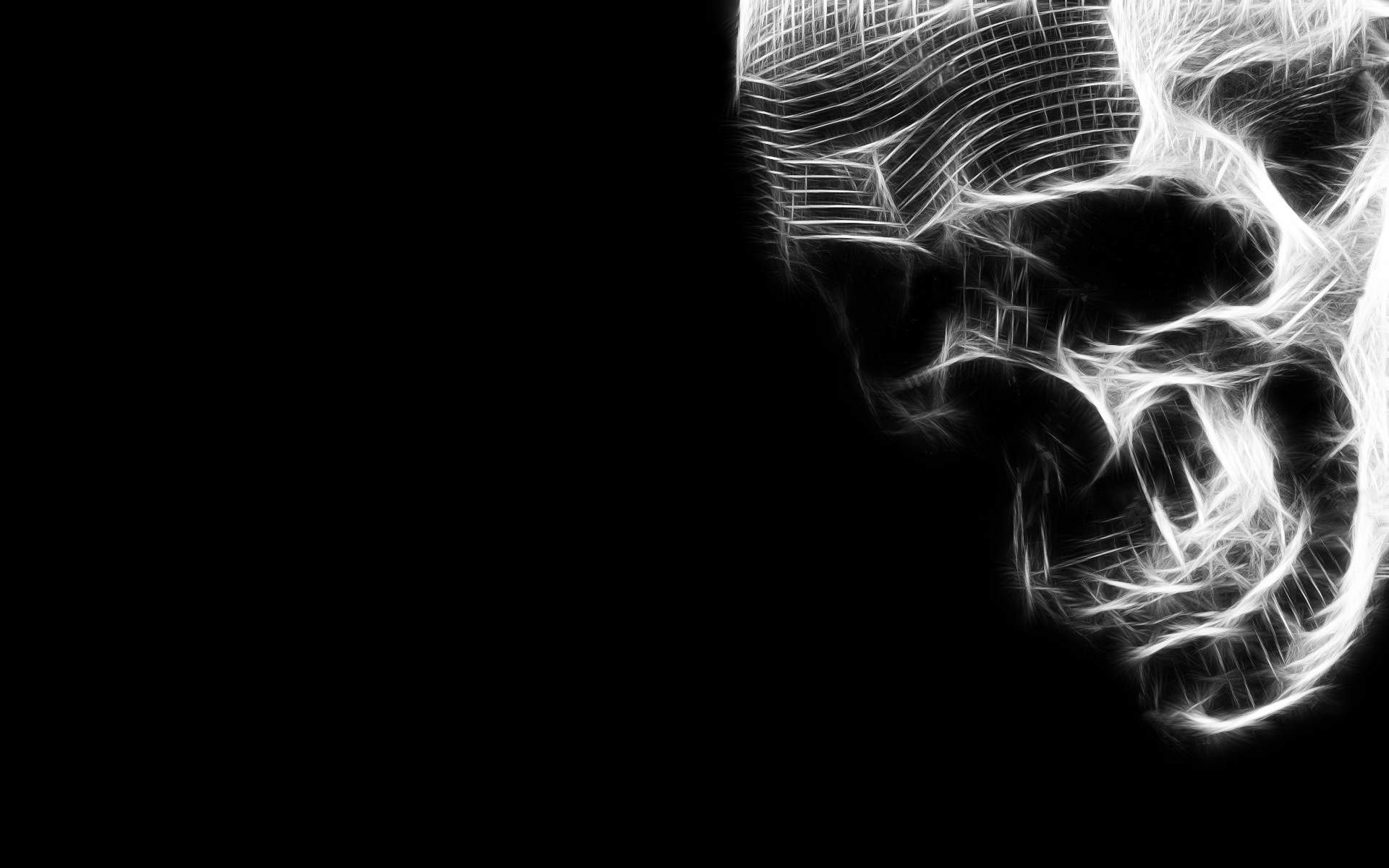 1920x1200, Full Hd P Skull Wallpapers Hd Desktop Backgrounds - Cool Skulls Backgrounds Hd - HD Wallpaper 