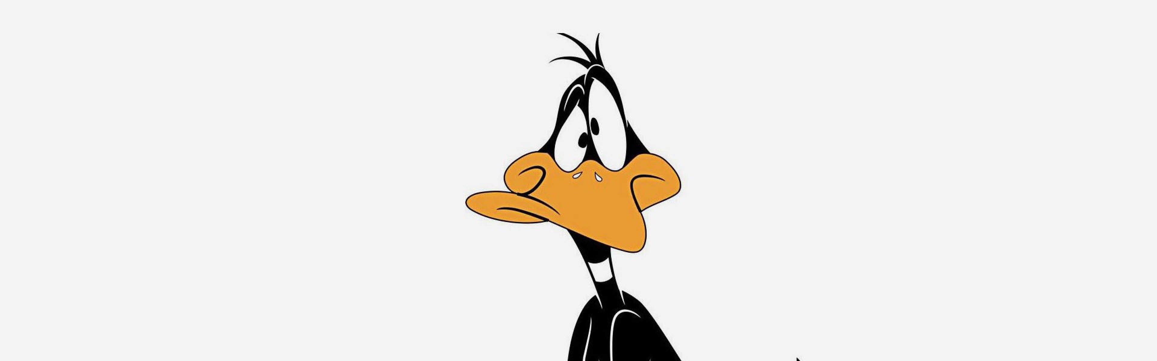 Daffy Duck - HD Wallpaper 