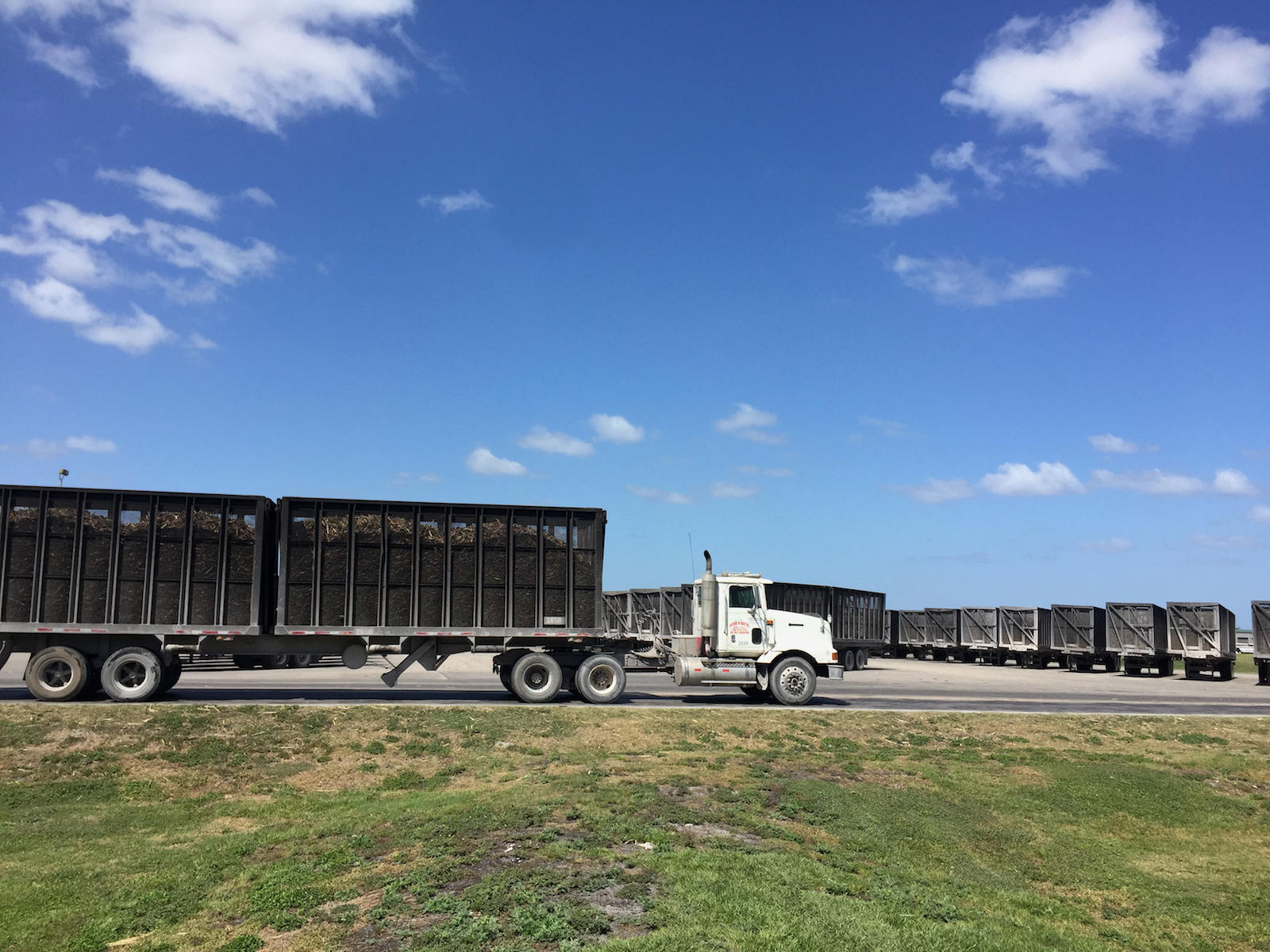 Trucks Deliver Sugarcane To The Sugar Cane Growers - Belle Glade Sugar Cane - HD Wallpaper 